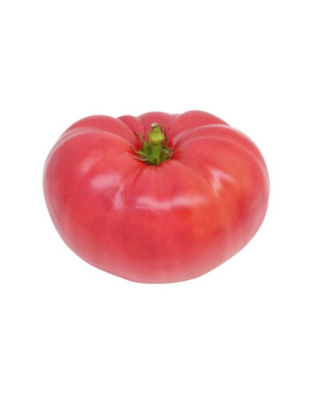 Pink Tomato Price per KG