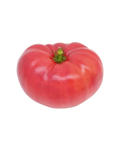 Pink Tomato Price per KG