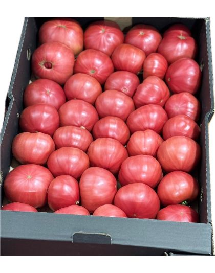 Pink Tomato Price per KG