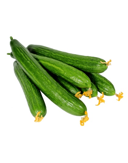 Fresh Cucumbers Price per KG