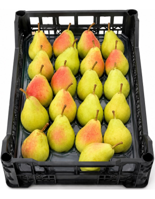 Fresh Pears – Box Approx 4kg Price per Box