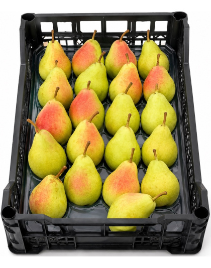 Fresh Pears – Box Approx 4kg Price per Box