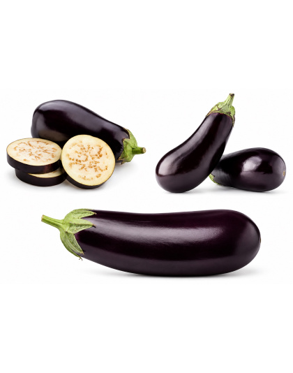 Fresh Aubergine price per KG
